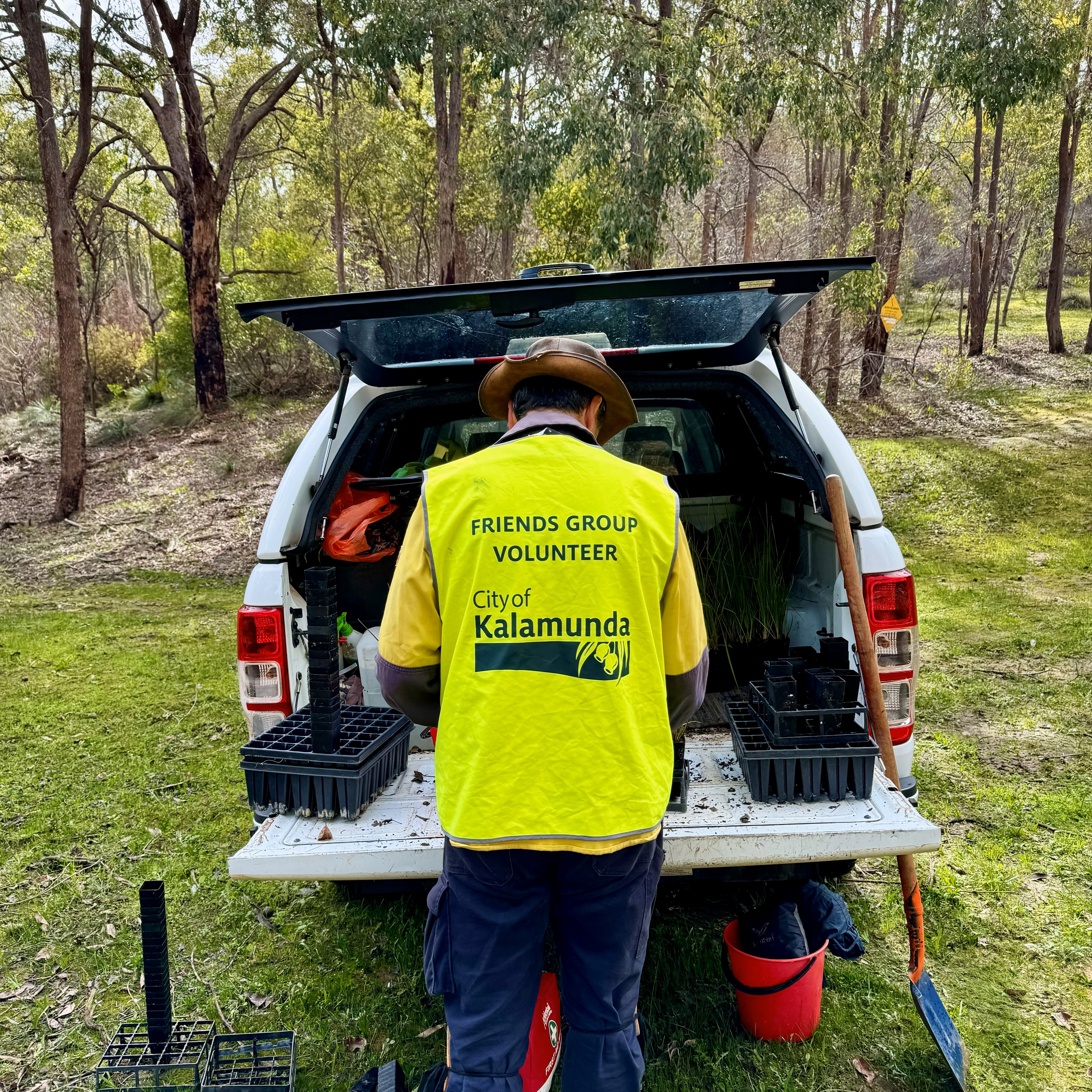 Bushcare Volunteer Revegetation Planting