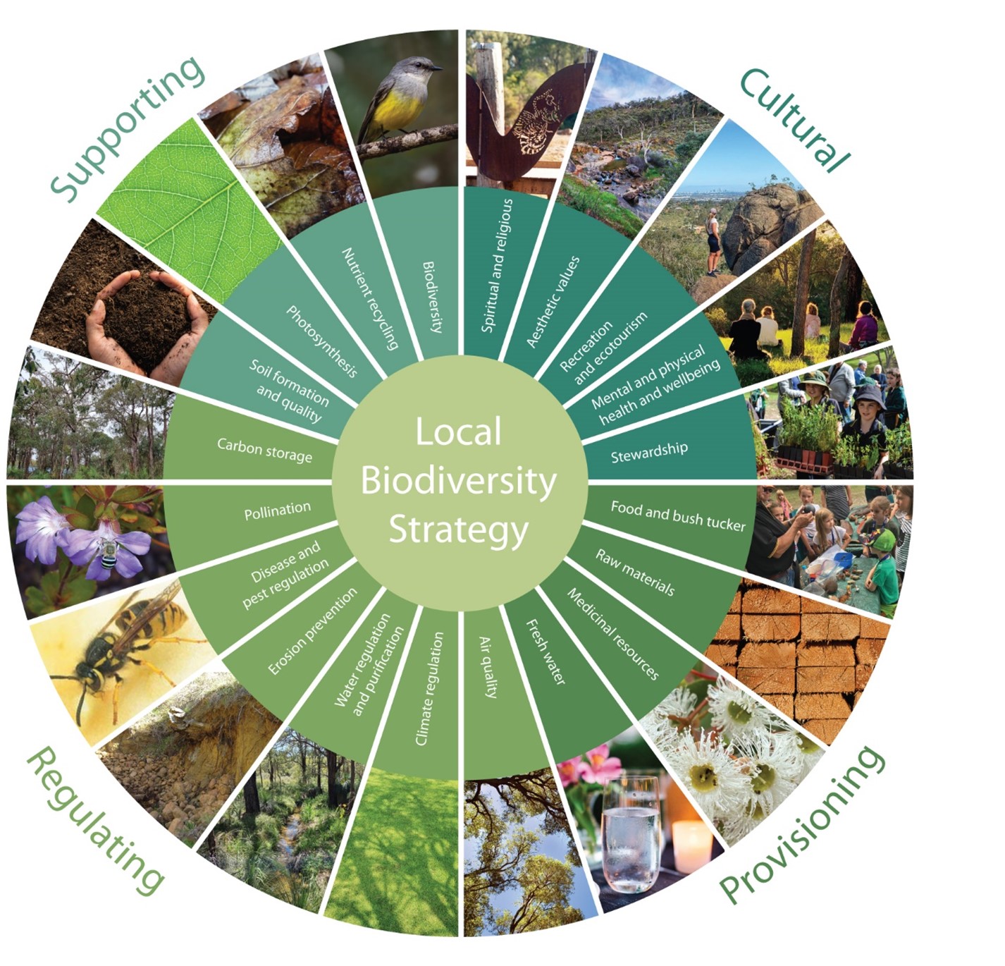 Wheel graphic showing the Local Biodiversity Benefits