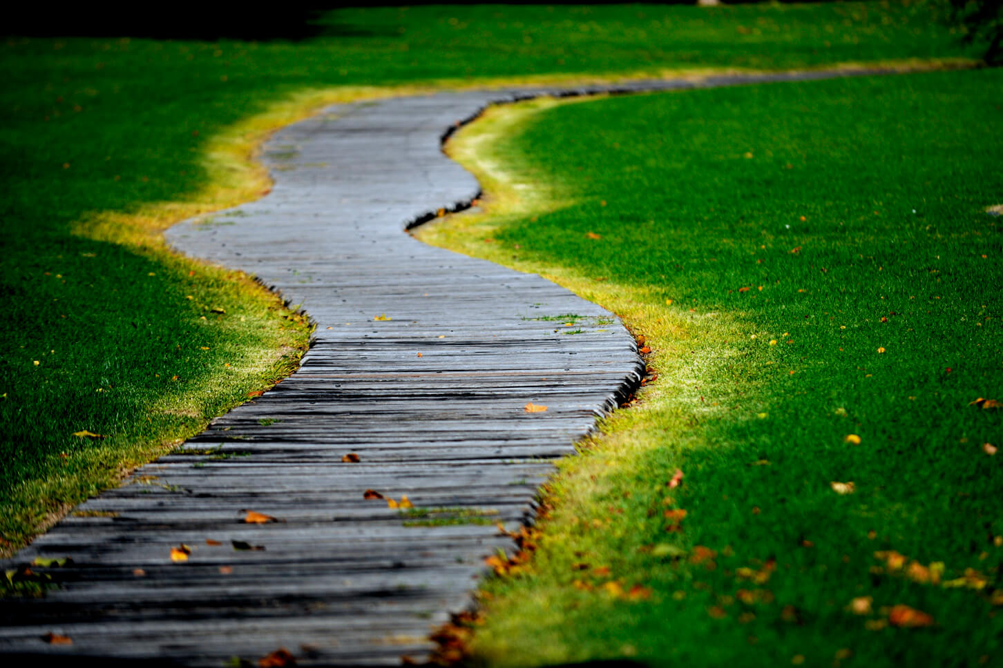 Stirk Park - view of wooden path