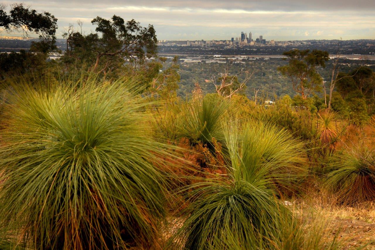 View from Zig Zag area in Gooseberry Hill - Perth City visible in distance