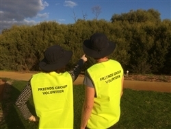 Friends of Woodlupine Living Stream Image of two volunteer doing works for Woodlupine Living Stream project