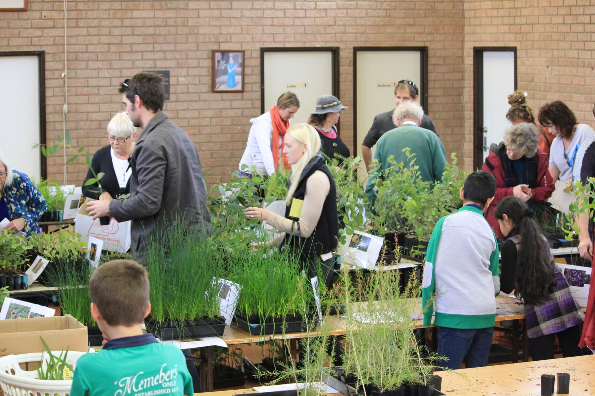 Plants for Residents - View of residents selecting plants/seedlings