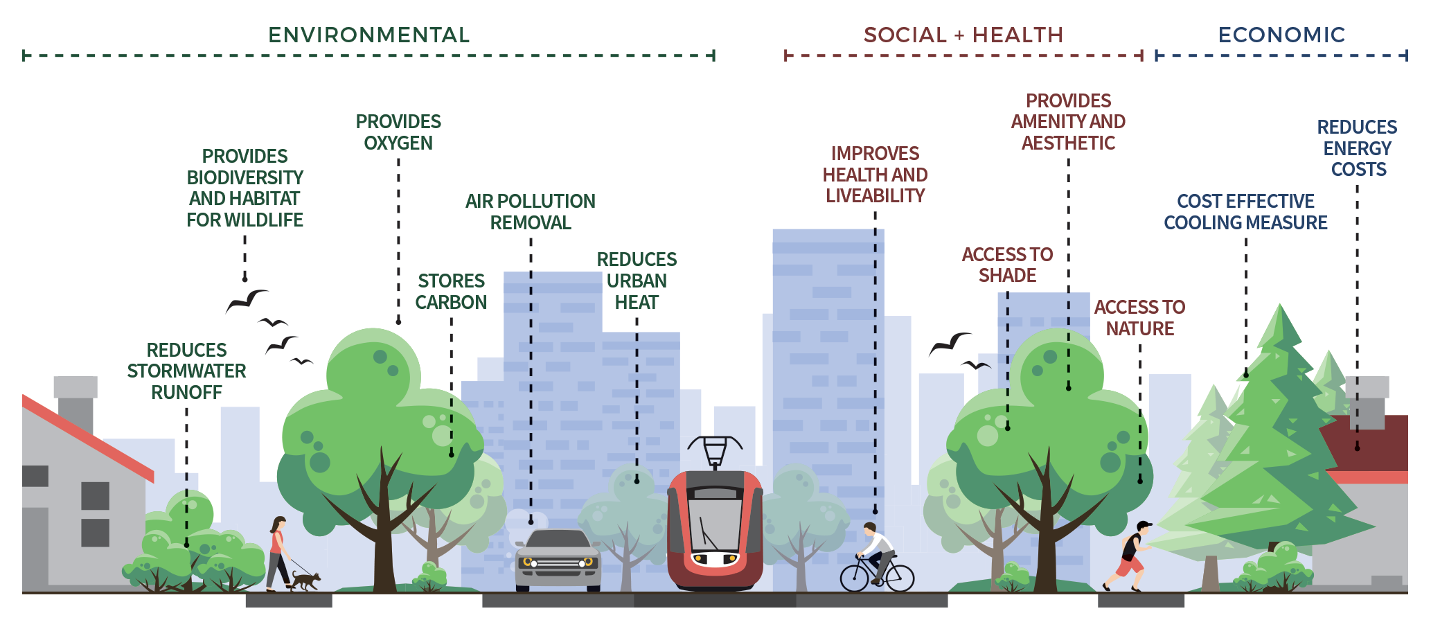 Urban Forest Strategy | City Of Kalamunda