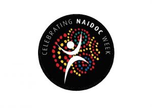 Logo for celebrating 2019 NAIDOC Week  - Voice. Treaty. Truth