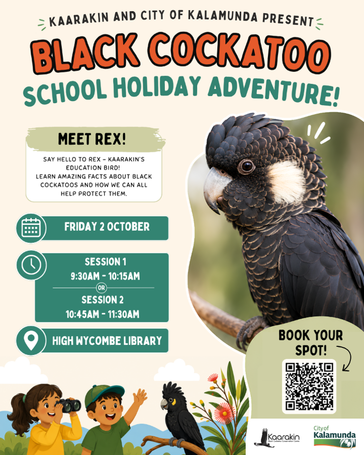 black cuckatoo black cuckatoo