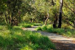Fleming Reserve - Footpath Fleming Reserve located in High Wycombe
