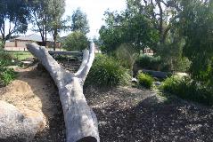 Nature Playscape area Nature Playscape area in Wattle Grove (The Promenade)