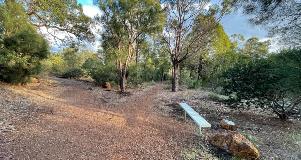 Bench along foot path Seating along a footpath at Ray Owen behind the BMX track