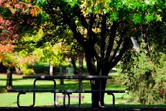 Stirk Park - table seating area A picnic table located in Stirk Park in Kalamunda