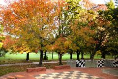 The outdoor chess area near the Stirk Park BBQ area by Headingly Road section of the park