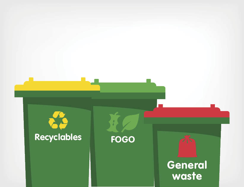 Sample of the 3 bin system for new FOGO system being introduced in Waste Service. From left a yellow top bin, green top bin and a smaller red top bin